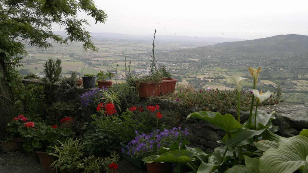 Casa Mia A Cortona 아파트 객실 사진